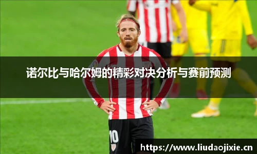 诺尔比与哈尔姆的精彩对决分析与赛前预测