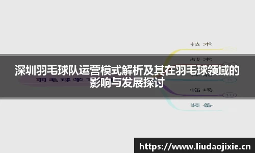 深圳羽毛球队运营模式解析及其在羽毛球领域的影响与发展探讨