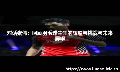 对话张伟：回顾羽毛球生涯的辉煌与挑战与未来展望